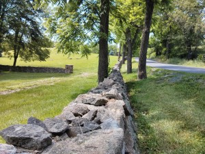 Miles of Stone Fence