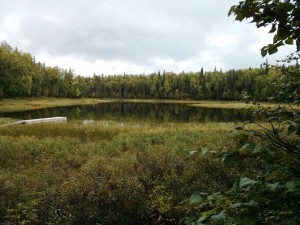 A Pond near the Lake