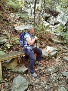 Falling Water Cascades