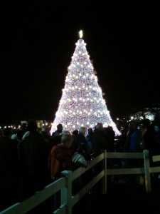 National Christmas Tree