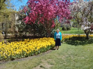 Sherwood Gardens