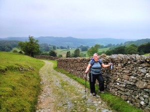 Country Lane