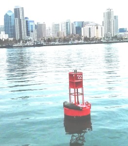 Seal on a Bouy