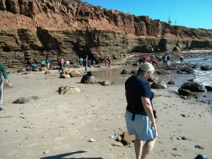 Tidal Pools