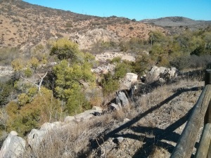 Mission Trails