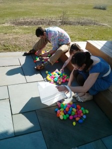 Counting Eggs