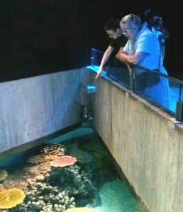 At the Aquarium