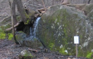 Waterfall with 'Not Potable' sign, making this a Foul Water Fall