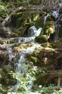 Mountain Stream