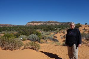 Coral Pink Sand Dunes