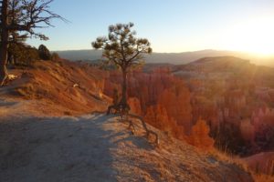 View of Sunrise Canyon