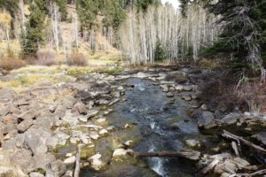 Cedar Mirror Lake's stream