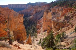 Black Birch Canyon