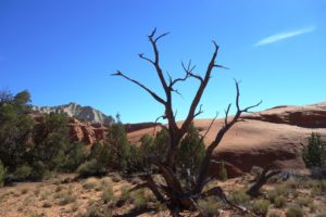 Shakespeare Arch Trail