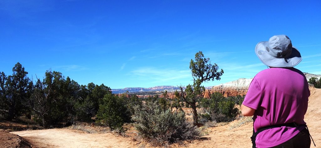 Shakespeare Arch Trail