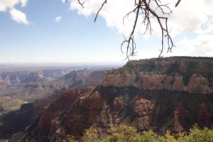 Roosevelt Overlook