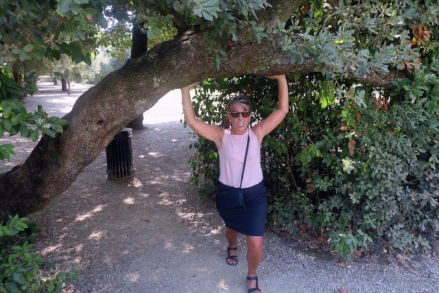 Hercules lifts a tree