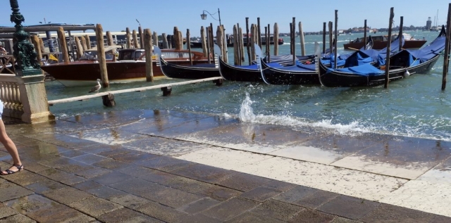 St. Mark's Dock at high tide